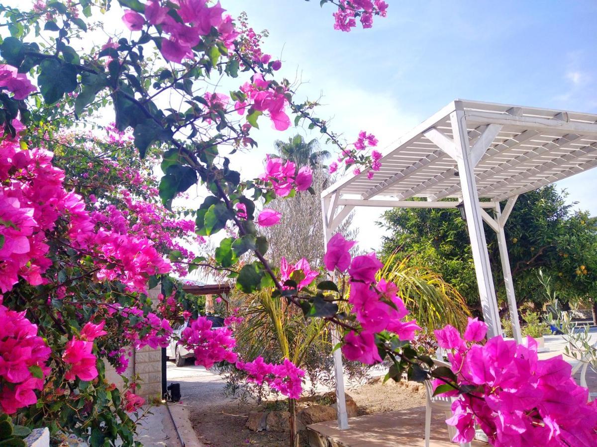 Finca El Aulagar Màlaga Exteriér fotografie